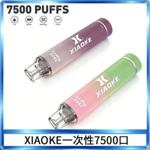 XIAOKE梟客7500Puffs跑馬燈拋棄式電子煙 可發光一次性